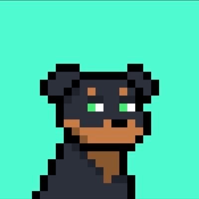 Reef, profile picture